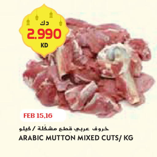 available at جراند كوستو in الكويت - محافظة الأحمدي