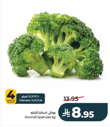 Broccoli from Spain available at لولو هايبرماركت in مملكة العربية السعودية, السعودية, سعودية - الخرج