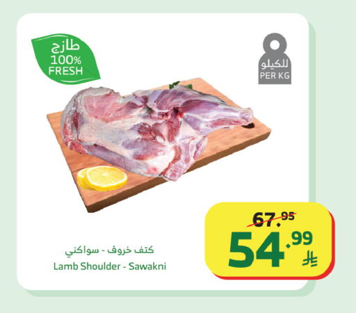 available at الراية in مملكة العربية السعودية, السعودية, سعودية - جدة