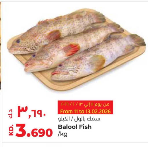 available at Lulu Hypermarket  in Kuwait - Ahmadi Governorate