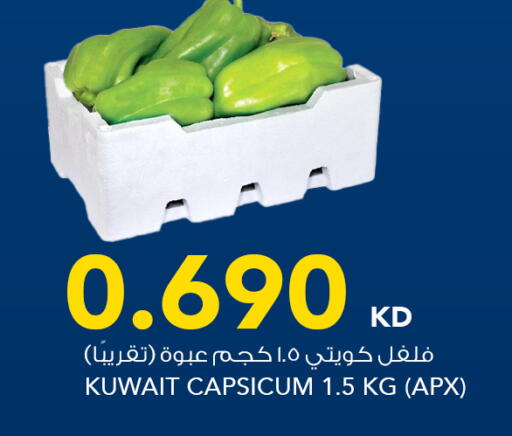 Capsicum from Kuwait available at  ALNASSER HYPERMARKET in Kuwait - Kuwait City