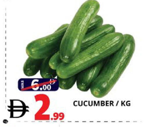 Cucumber available at اكسبرس المدينة هايبرماركت in الإمارات العربية المتحدة , الامارات - أبو ظبي