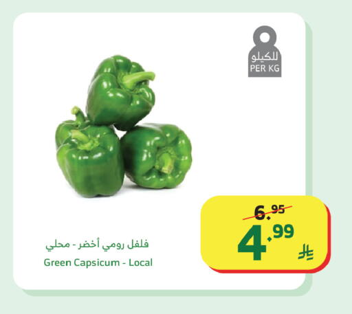 Green Capsicum available at الراية in مملكة العربية السعودية, السعودية, سعودية - تبوك
