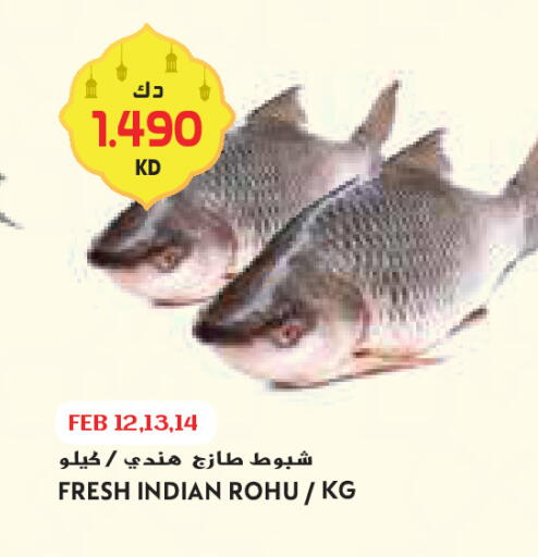 available at Grand Costo in Kuwait - Ahmadi Governorate