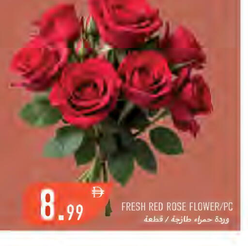 available at Rawabi Market Ajman in UAE - Sharjah / Ajman