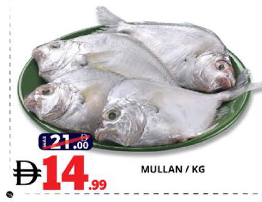 available at اكسبرس المدينة هايبرماركت in الإمارات العربية المتحدة , الامارات - أبو ظبي