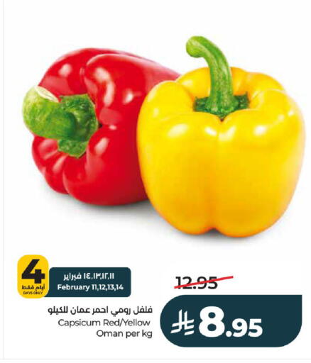 Capsicum from Oman available at لولو هايبرماركت in مملكة العربية السعودية, السعودية, سعودية - الخرج