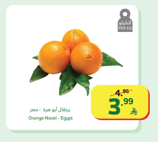 Orange from Egypt available at Al Raya in KSA, Saudi Arabia, Saudi - Medina