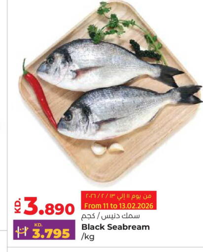 available at Lulu Hypermarket  in Kuwait - Ahmadi Governorate