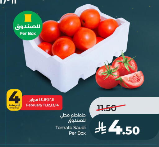 Tomato from Saudi Arabia available at LULU Hypermarket in KSA, Saudi Arabia, Saudi - Al Khobar