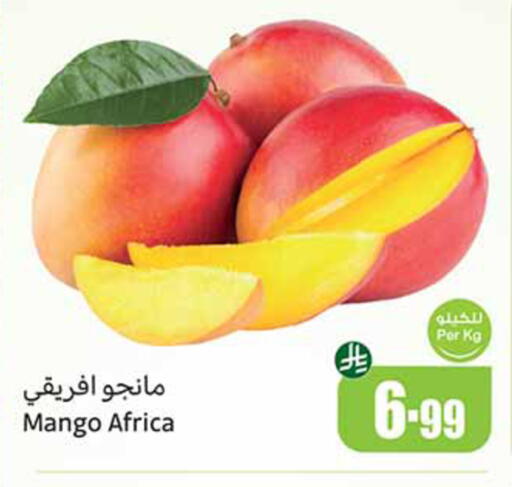 Mango available at أسواق عبد الله العثيم in مملكة العربية السعودية, السعودية, سعودية - سكاكا