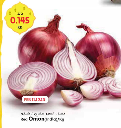 Onion from India available at Grand Hyper in Kuwait - Kuwait City