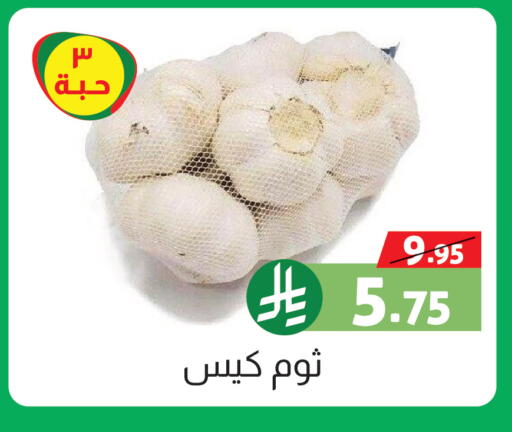 available at صالة العروض in مملكة العربية السعودية, السعودية, سعودية - خميس مشيط