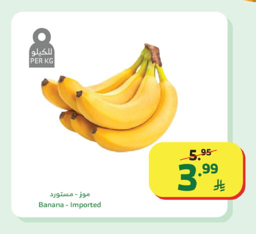 Banana available at Al Raya in KSA, Saudi Arabia, Saudi - Medina