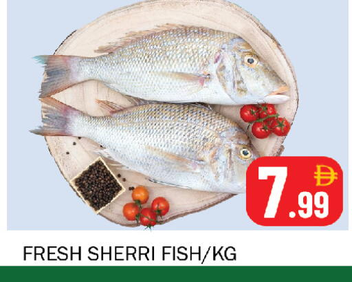 available at سوق المبارك هايبرماركت in الإمارات العربية المتحدة , الامارات - الشارقة / عجمان