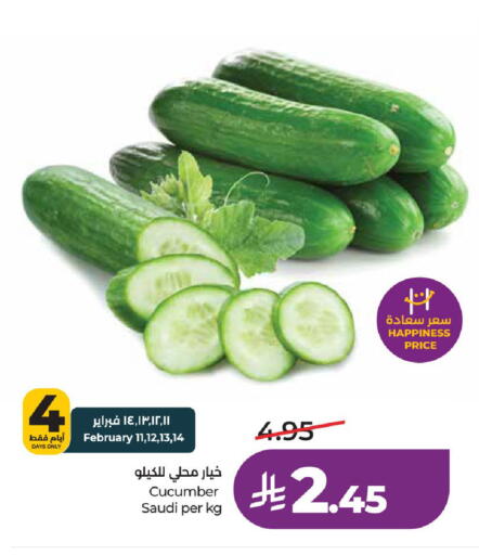 Cucumber from Saudi Arabia available at لولو هايبرماركت in مملكة العربية السعودية, السعودية, سعودية - الخرج