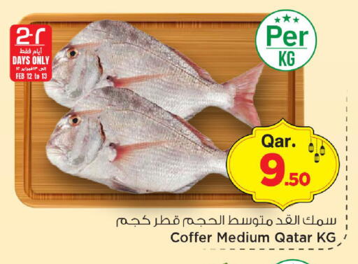 available at مارك & سيف in قطر - الريان