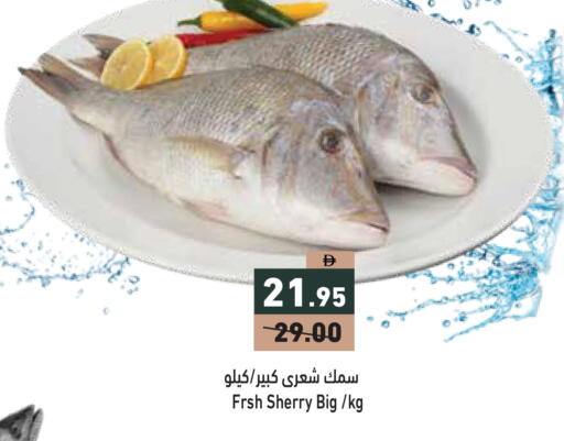 available at أسواق رامز in الإمارات العربية المتحدة , الامارات - دبي