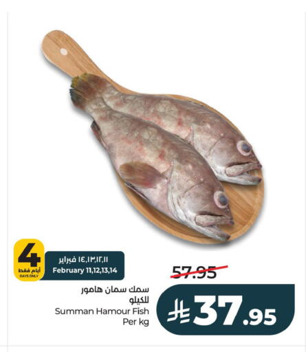 available at LULU Hypermarket in KSA, Saudi Arabia, Saudi - Al Khobar