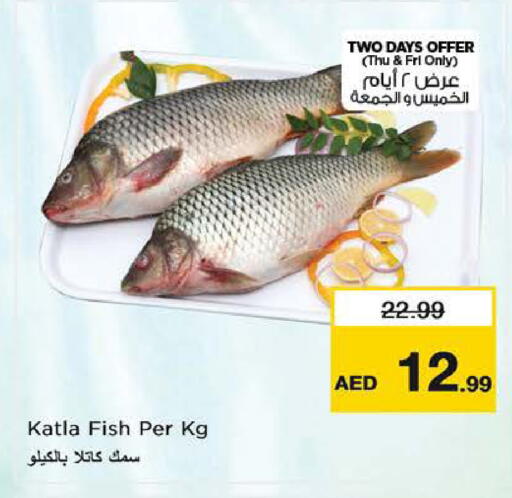 available at نستو هايبرماركت in الإمارات العربية المتحدة , الامارات - ٱلْعَيْن‎