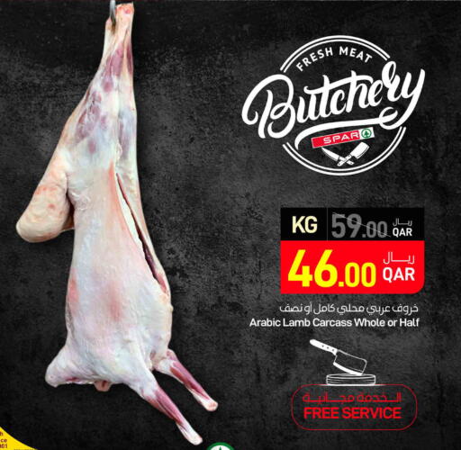 available at ســبــار in قطر - الضعاين