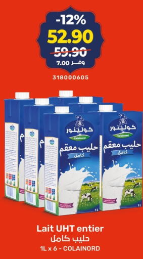 available at كازيون in Egypt - القاهرة