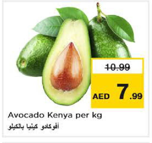 Avocado from Kenya available at Nesto Hypermarket in UAE - Abu Dhabi