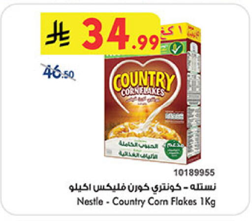 available at بن داود in مملكة العربية السعودية, السعودية, سعودية - خميس مشيط