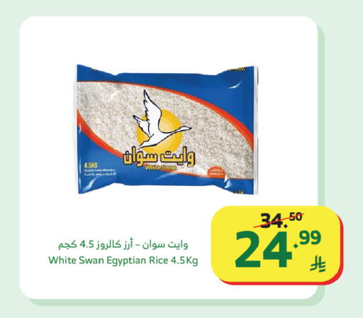 available at الراية in مملكة العربية السعودية, السعودية, سعودية - جدة