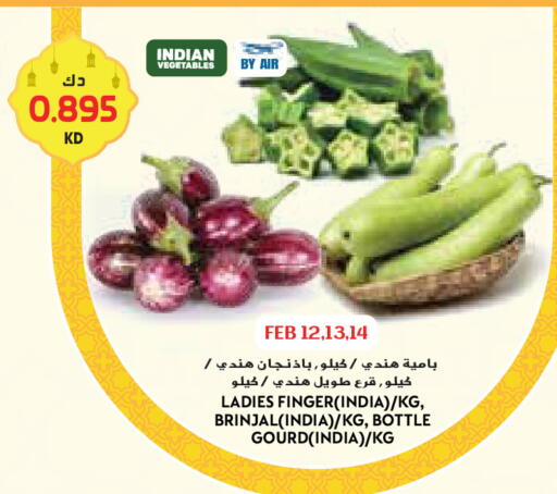 from India available at جراند كوستو in الكويت - محافظة الأحمدي