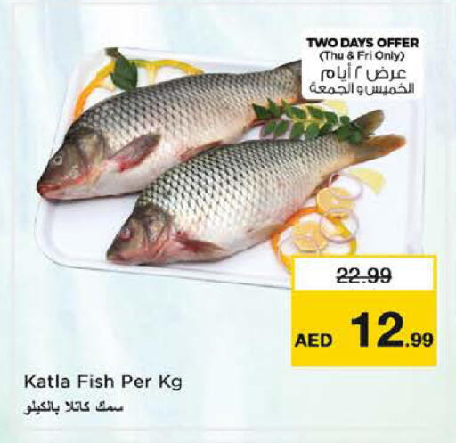 available at نستو هايبرماركت in الإمارات العربية المتحدة , الامارات - أبو ظبي