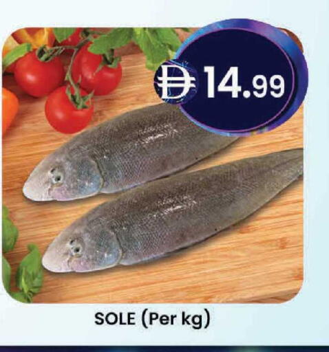 available at Safa Express Supermarket in UAE - Al Ain