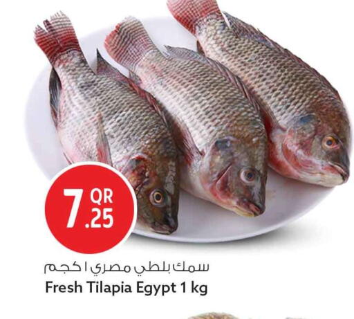 available at سفاري هايبر ماركت in قطر - الوكرة