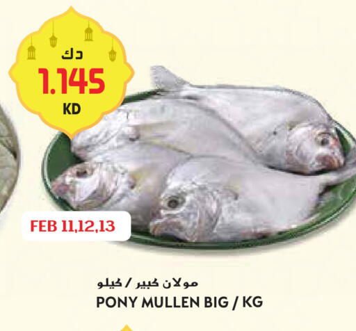 available at Grand Hyper in Kuwait - Ahmadi Governorate