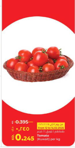Tomato from Kuwait available at Lulu Hypermarket  in Kuwait - Kuwait City