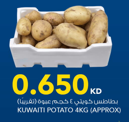 Potato from Kuwait available at  ALNASSER HYPERMARKET in Kuwait - Kuwait City