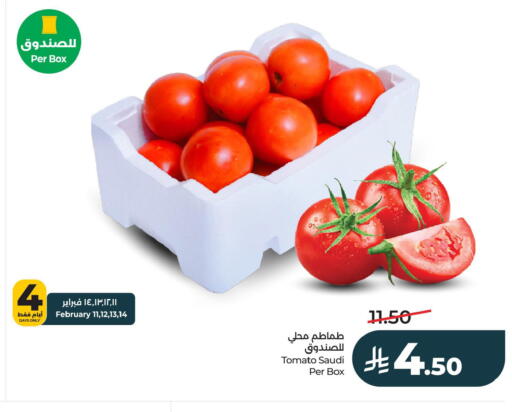 Tomato from Saudi Arabia available at LULU Hypermarket in KSA, Saudi Arabia, Saudi - Al Khobar