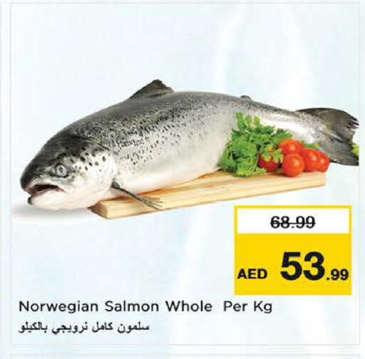 available at نستو هايبرماركت in الإمارات العربية المتحدة , الامارات - ٱلْعَيْن‎