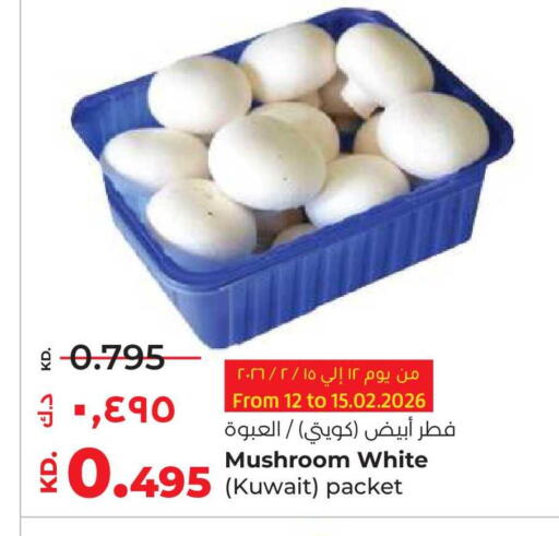 Mushroom from Kuwait available at Lulu Hypermarket  in Kuwait - Kuwait City