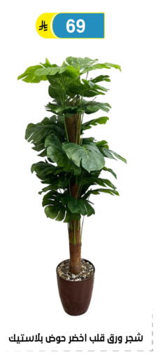 available at الحسين توب أب in مملكة العربية السعودية, السعودية, سعودية - الرياض