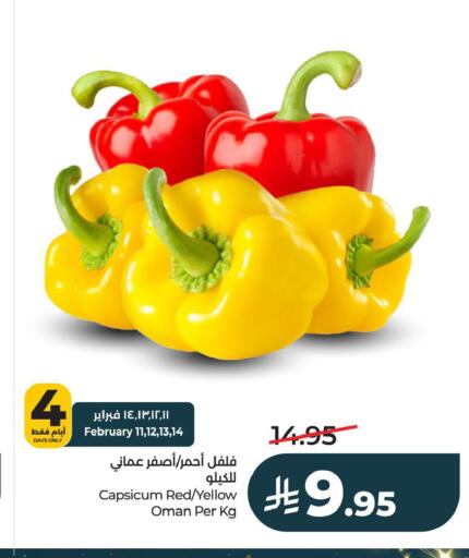 Capsicum from Oman available at LULU Hypermarket in KSA, Saudi Arabia, Saudi - Al Khobar