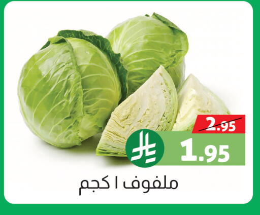 available at صالة العروض in مملكة العربية السعودية, السعودية, سعودية - خميس مشيط