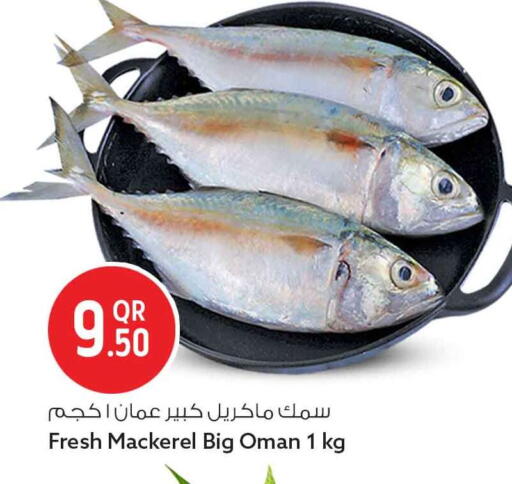available at Safari Hypermarket in Qatar - Al Wakra