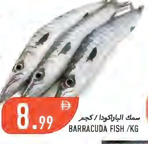 available at Rawabi Market Ajman in UAE - Sharjah / Ajman