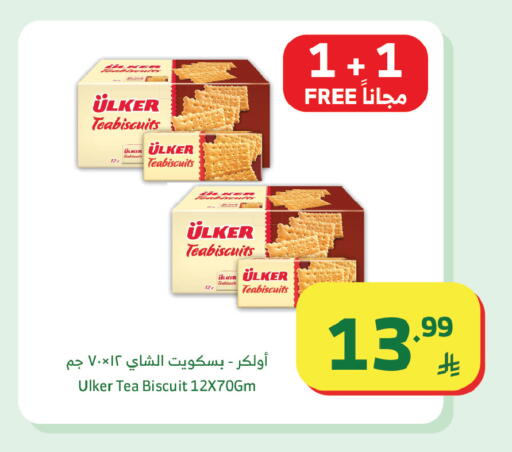 available at الراية in مملكة العربية السعودية, السعودية, سعودية - تبوك