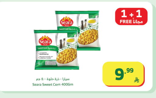 available at الراية in مملكة العربية السعودية, السعودية, سعودية - جدة