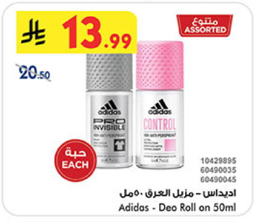 available at بن داود in مملكة العربية السعودية, السعودية, سعودية - خميس مشيط