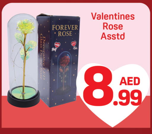 available at Day to Day Department Store in UAE - Dubai