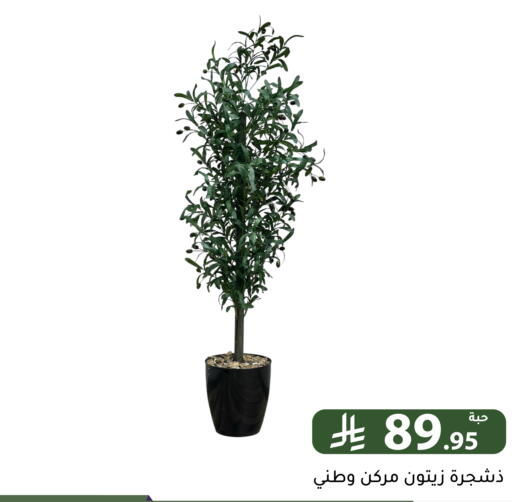 available at Family Discount in KSA, Saudi Arabia, Saudi - Riyadh