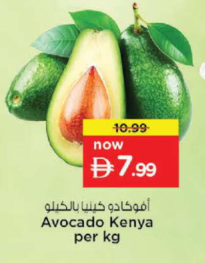 Avocado from Kenya available at نستو هايبرماركت in الإمارات العربية المتحدة , الامارات - ٱلْعَيْن‎